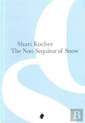 The Non-Sequitur Of Snow