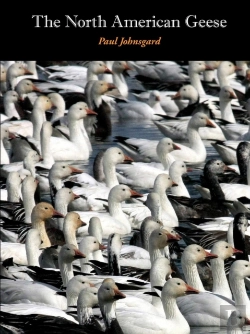 Bertrand.pt - The North American Geese