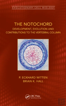 Bertrand.pt - The Notochord