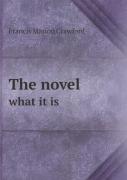 The Novel What It Is