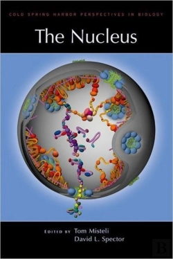 Bertrand.pt - The Nucleus