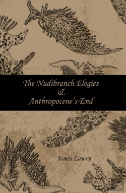 Bertrand.pt - The Nudibranch Elegies Anthropocene'S End