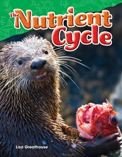 Bertrand.pt - The Nutrient Cycle
