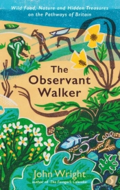 The Observant Walker