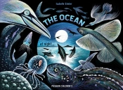 The Ocean At Night