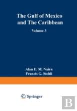 The Ocean Basins And Margins