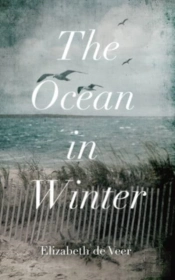The Ocean In Winter