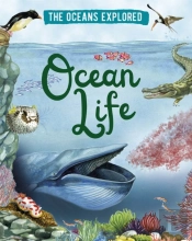 The Oceans Explored: Ocean Life