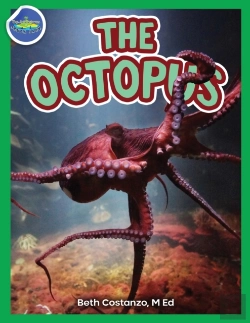 Bertrand.pt - The Octopus Ages 2-4