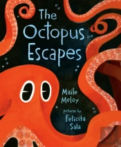 The Octopus Escapes