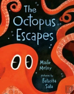 Bertrand.pt - The Octopus Escapes