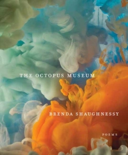 Bertrand.pt - The Octopus Museum