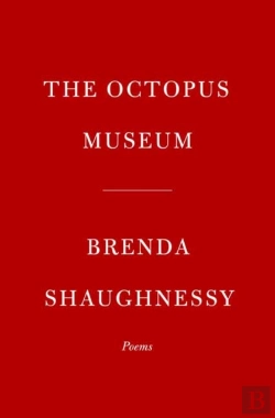 Bertrand.pt - The Octopus Museum