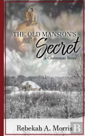 The Old Mansion'S Secret