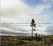 The Oldest Living Things In The World