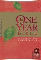 The One Year Bible