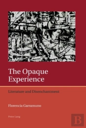 The Opaque Experience