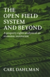 The Open Field System And Beyond