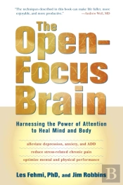 The Open-Focus Brain