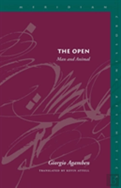 Bertrand.pt - The Open