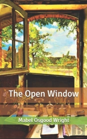 The Open Window