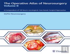 The Operative Atlas Of Neurosurgery, Vol Ii