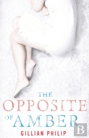 The Opposite Of Amber