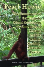 The Orangutans Of Semenggoh, Mount Santubong, The Sun Bears Of Matang And The Rain In Kuching, Sarawak, Borneo