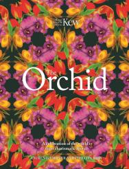 The Orchid