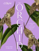 The Orchid