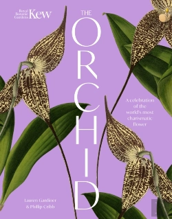 Bertrand.pt - The Orchid