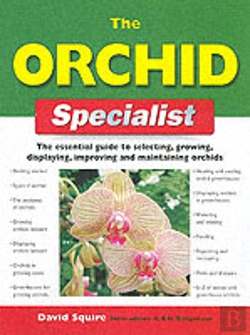 Bertrand.pt - The Orchid Specialist