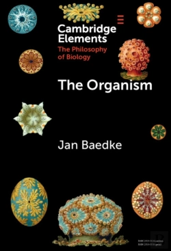 Bertrand.pt - The Organism