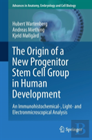 The Origin Of A New Progenitor Stem Cell Group In Human Development