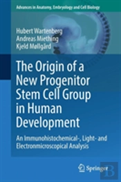 The Origin Of A New Progenitor Stem Cell Group In Human Development