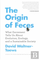 The Origin Of Feces