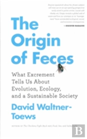 The Origin Of Feces