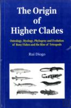 Bertrand.pt - The Origin Of Higher Clades