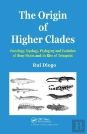The Origin Of Higher Clades