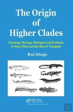 Bertrand.pt - The Origin Of Higher Clades