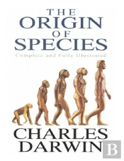 The Origin Of Species (Illustrated)