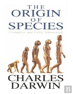 Bertrand.pt - The Origin Of Species (Illustrated)