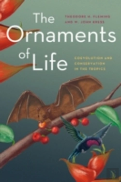 Bertrand.pt - The Ornaments Of Life