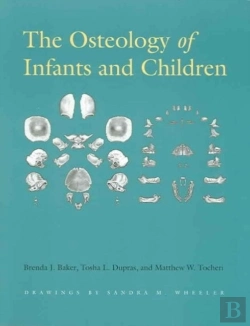 Bertrand.pt - The Osteology Of Infants And Children