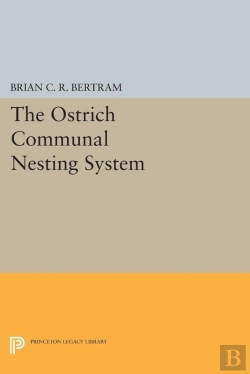 Bertrand.pt - The Ostrich Communal Nesting System