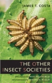 The Other Insect Societies