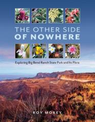 The Other Side Of Nowhere