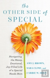 The Other Side Of Special Â€“ Navigating The Messy, Emotional, Joyâ€“Filled Life Of A Special Needs Mom