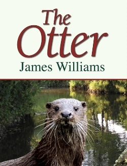 Bertrand.pt - The Otter