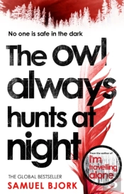 The Owl Always Hunts At Night